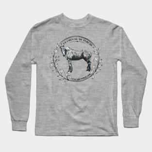 French Percheron Horse Long Sleeve T-Shirt